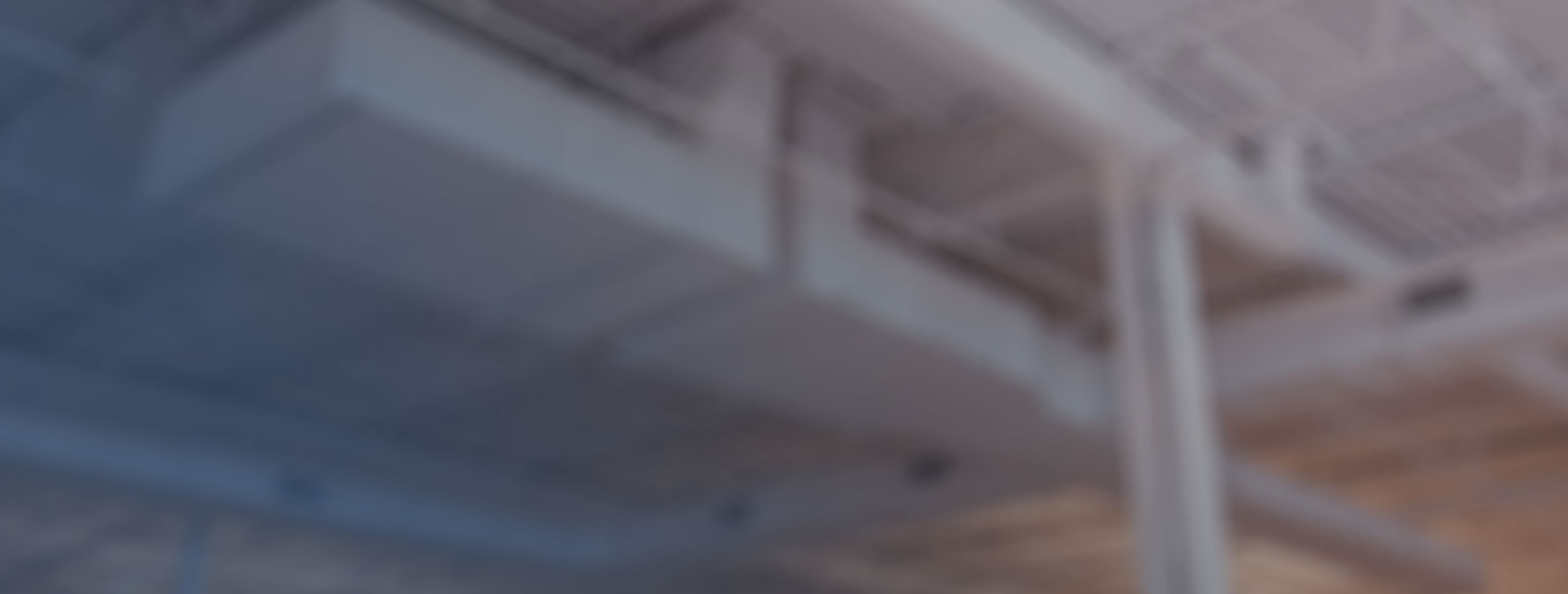 Aubin Pelissier photo 5