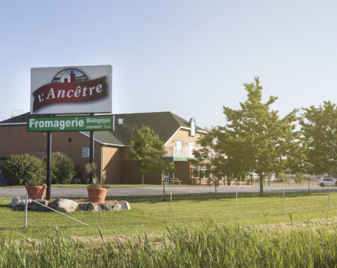 Fromagerie L'Ancêtre